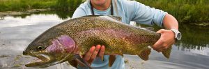 wyoming-trout-guides-rainbow-trout